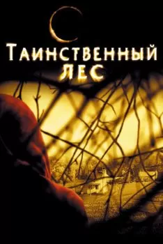 Таинственный лес смотреть онлайн